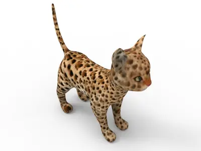 3d Pet Cat low poly game ready  Low-poly 3D model
