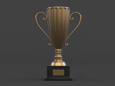Cup Trophy 3D model get