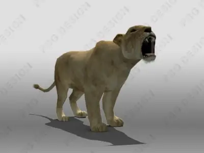 Lioness Animated Low-poly 3D model