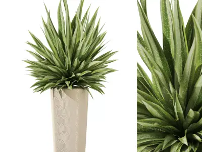 Plants collection vol 52