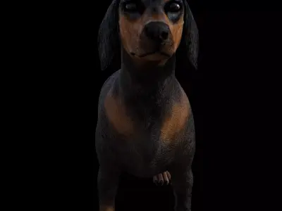 DachShund - Dog Low-poly 3D model