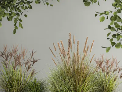 Decorative Trees In Concrete Pots For Landscaping 3D model