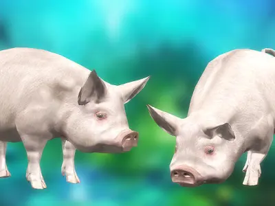 3DRT - Pig  Low-poly 3D model