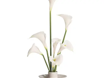 Bouquet-H53-Lily flower 3D model