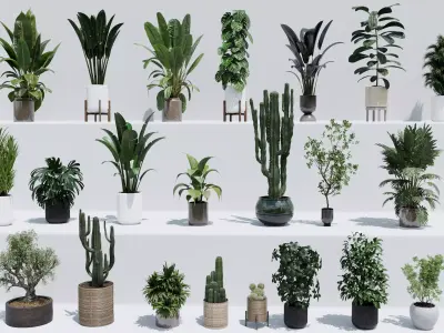 collection Indoor plant and outdoor plant pot 3D model