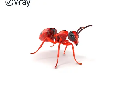 Red Soldier Ant Realistic 3D Model Pack Low-poly 3D model