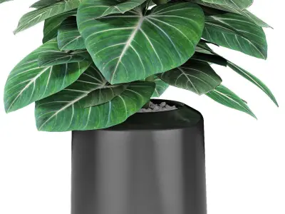 Plant in Pot Flowerpot Exotic Plant 3D model buy