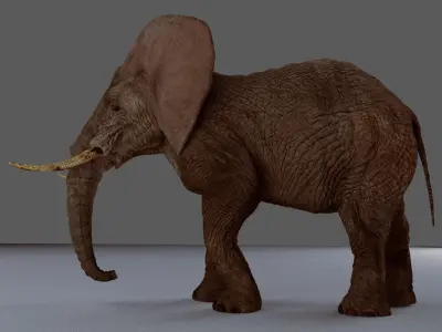 Walking Old African Elephant Low-poly 3D model