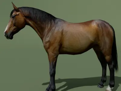 LowPoly Horses 10 colours Low-poly 3D model