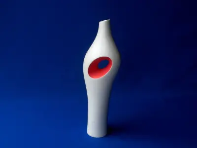 A Pair of Vases 3D print model