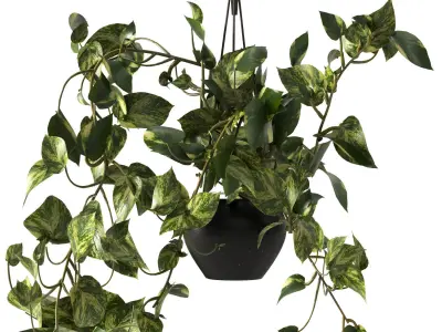 pendant plant 3D model