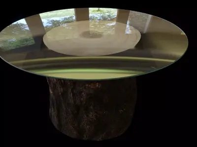 Tree Stump Glass Coffee Table 3D model