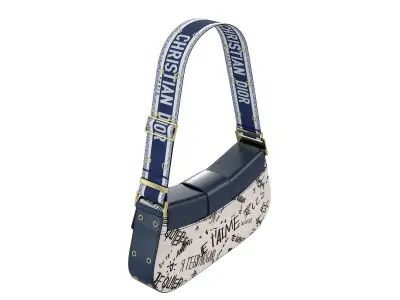 Dior Street Chic Bag Blue Print 3D model