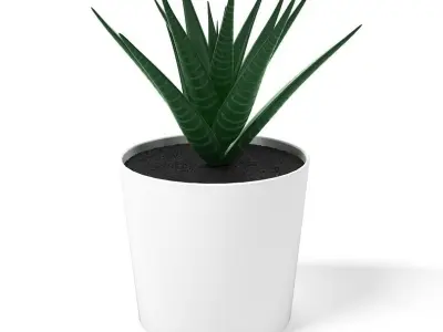 Fejka Houseplants 3D model