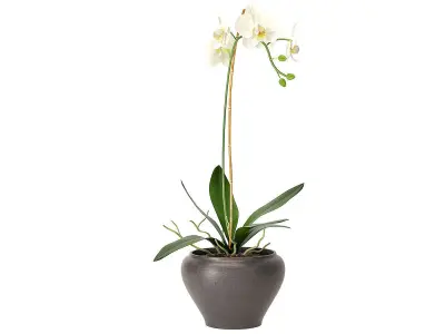 Accessories set 04 3D model