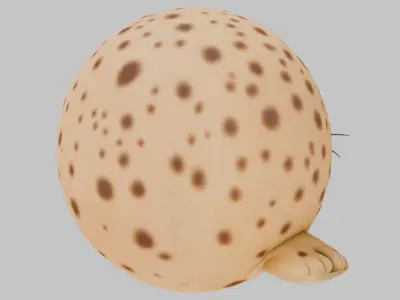 Cute 3D Seal Model 3D model