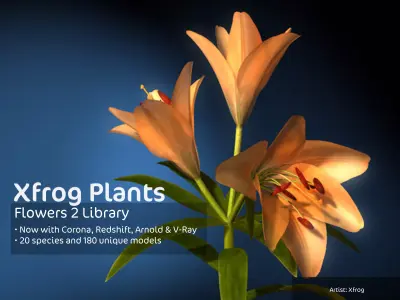 2020 XfrogPlants Flowers 2 Library  3D model