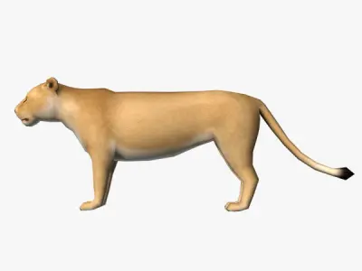 Lion Female Low-poly 3D model