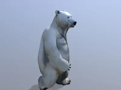 Polar bear Low-poly 3D model buy
