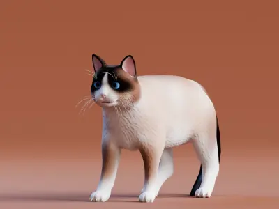 Low poly - Stylized cats - Snowshoe Cat Low-poly 3D model