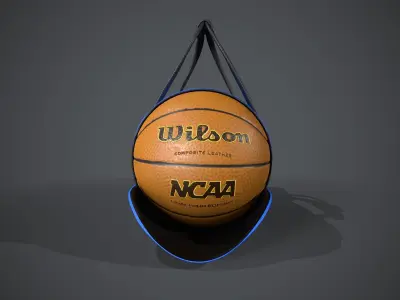 Basketball Carry Bag Low-poly 3D model