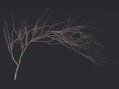 Thin Branch Low-poly 3D model