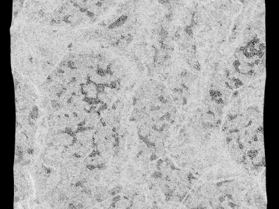 130-RockPanel rock on wall 3D model