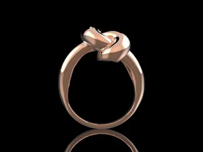 Node Ring 3D Print Model 3D print model