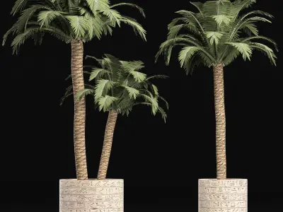 Plants Collection 159 Egyptian Plants 3D model
