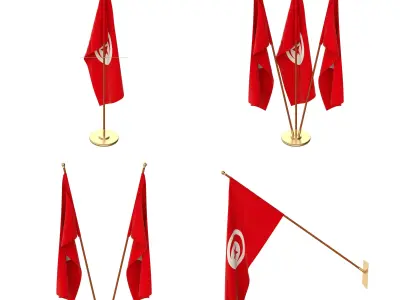 Tunisia Flag Pack 3D model