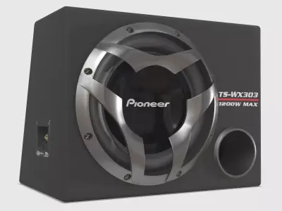 Car Subwoofer 3D Model - Pioneer TS-WX303 3D model