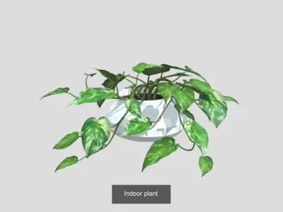 Plants pack - 4 3D Model Collection