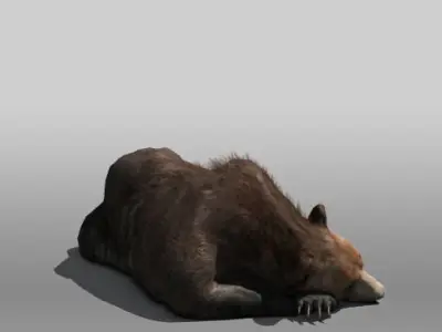 Grizzly Bear Low-poly 3D model