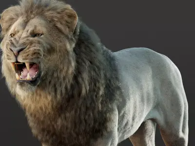 Lion 2025  RIG Maya -  Xgen-Core 3D model