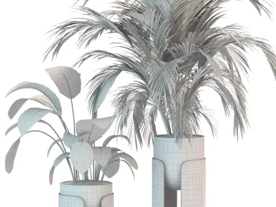 Plant Set 12 3D model