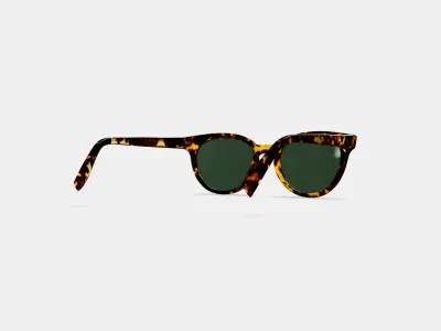 Taye Sunglasses in Black Oak Tortoise 3D model