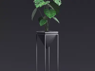 Cheese Plant III 3D model