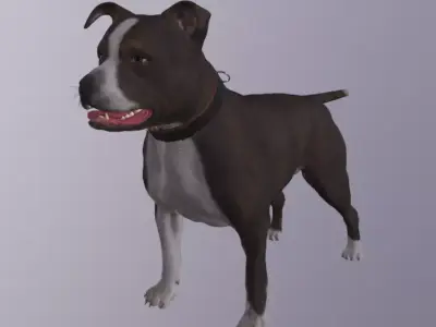 Dog Rigged Low-poly 3D model