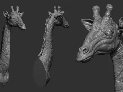 Giraffe head bust 3D print model