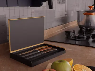 Kitchen Knife Set with Elegant Box  Realistic 3D Model 3D model