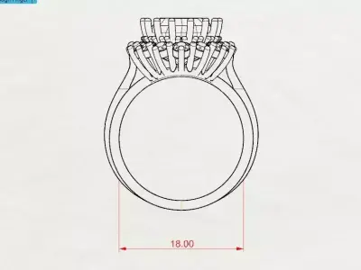 Rings 3D print model order