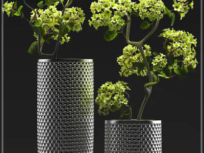 Flower Vase Set 3D model