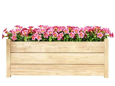 Flower plant set 04 3D model