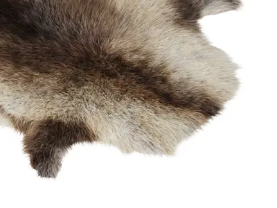 Reindeer skin carpet 3D model