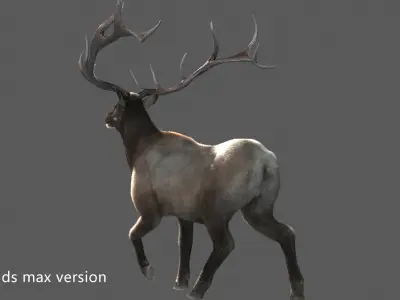 elaphurus deer buck stag reindeer doe Low-poly 3D model