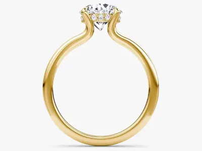 Split Band  Engagement Ring  01 3D print model