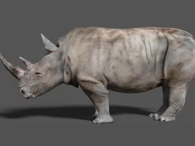 RHINOCEROS Low-poly 3D model