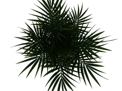 POTTED PLANT 3D model