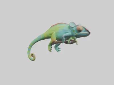 Chameleon climbing branch model Low-poly 3D model