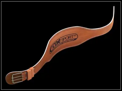 Lifting belt 3D model